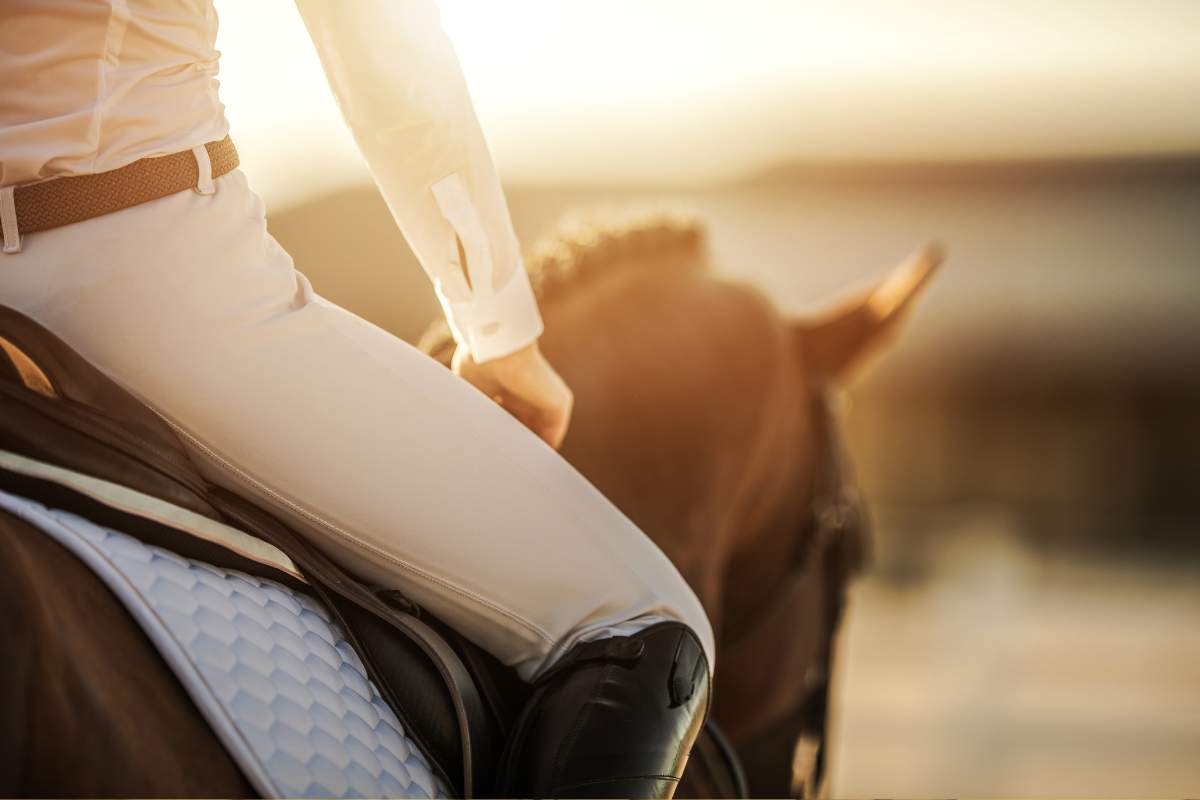 Comment le cheval peut contribuer à votre bien être